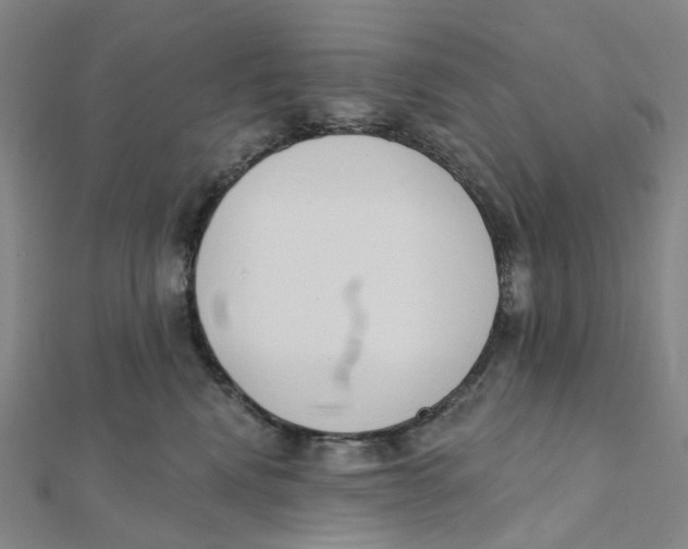 X0000112080472200909011047