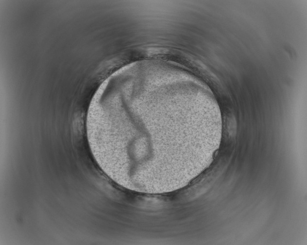 X0000112080475200909011047