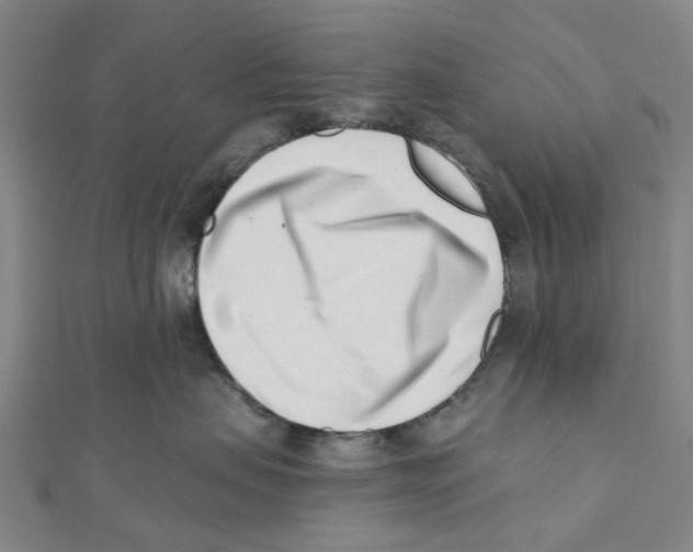 X0000112080479200909011047