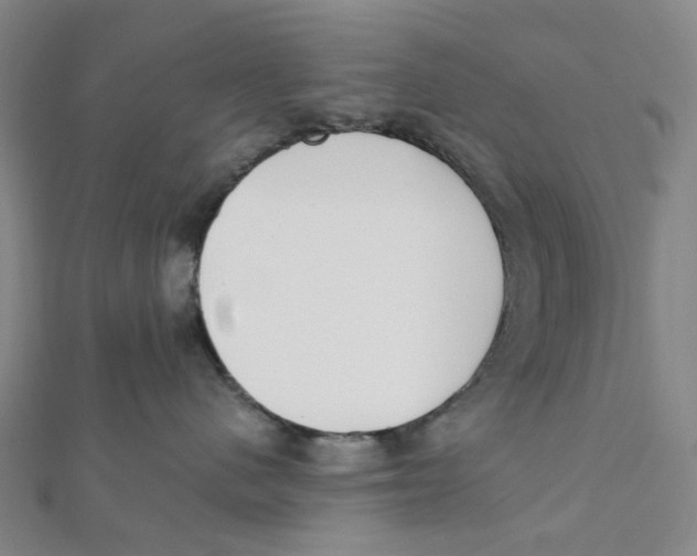 X0000112080480200909011047