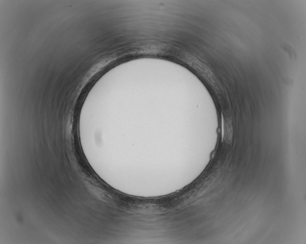 X0000112080483200909011047