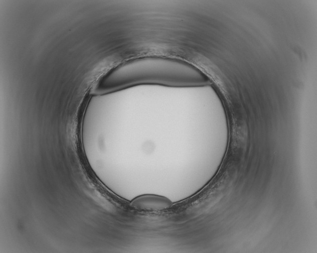 X0000112080485200909011047