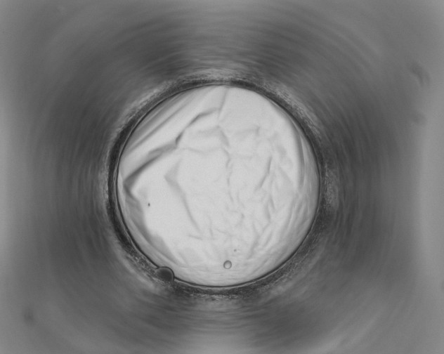 X0000112080486200909011047
