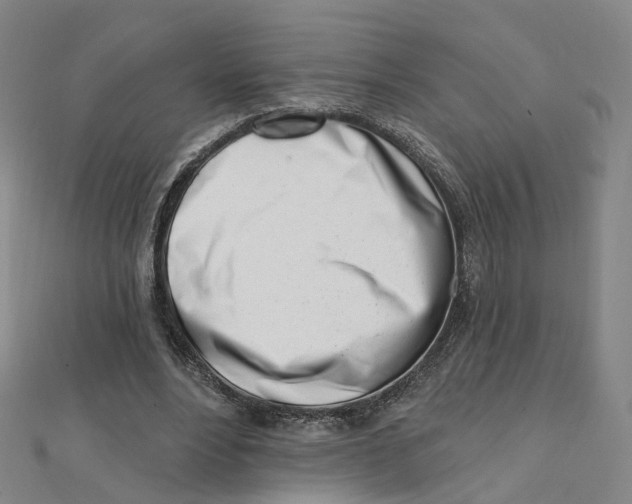 X0000112080488200909011047