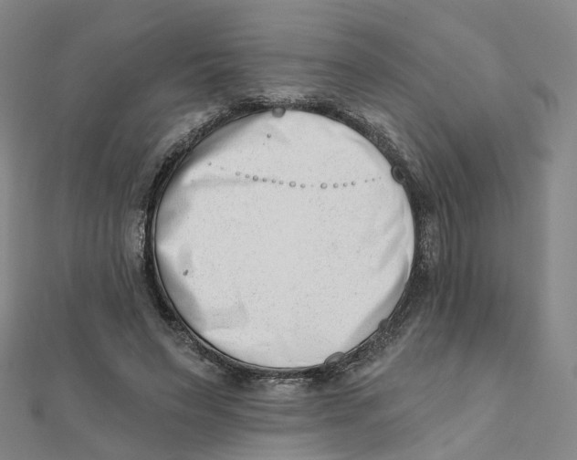 X0000112080495200909011047