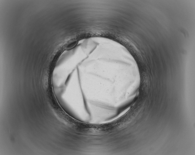 X0000112080496200909011047