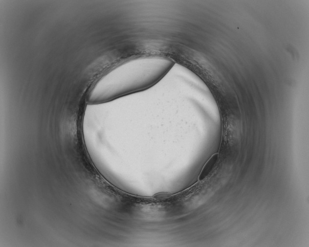 X0000112080500200909011047