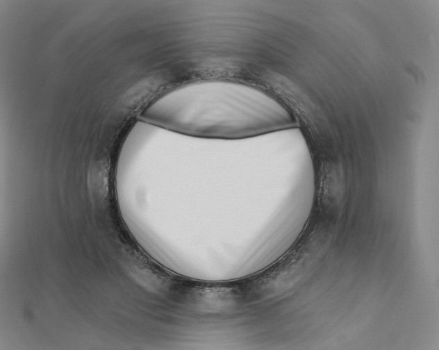 X0000112080501200909011047