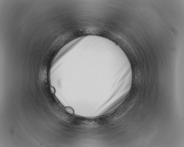X0000112080502200909011047