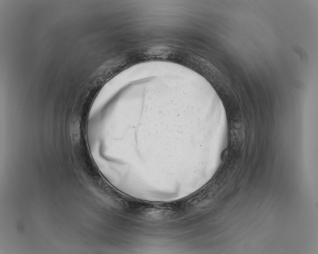 X0000112080504200909011047