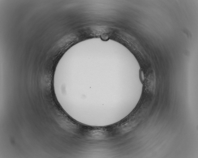 X0000112080505200909011046