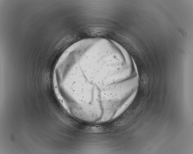 X0000112080506200909011046