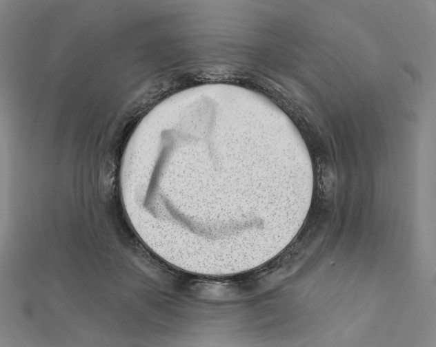 X0000112080507200909011046