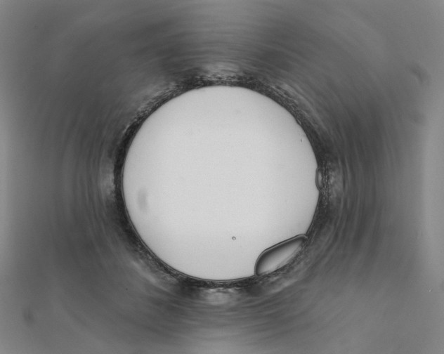 X0000112080508200909011046