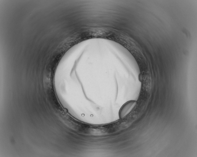 X0000112080510200909011046