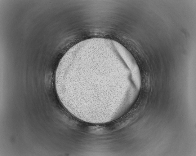 X0000112080511200909011046