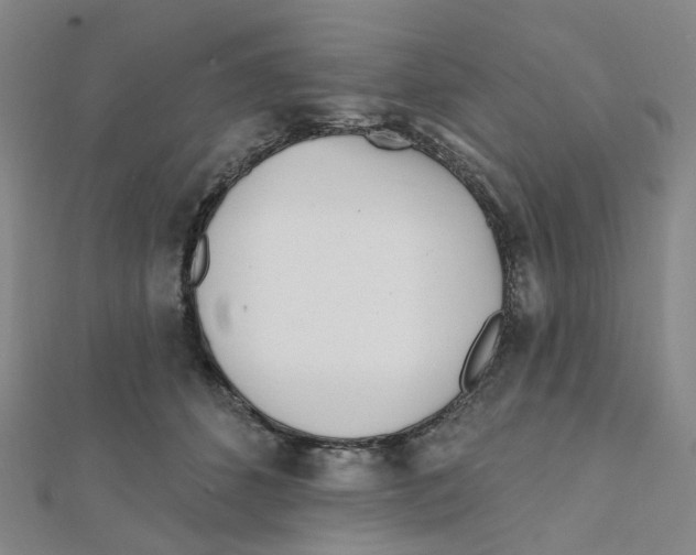 X0000112080512200909011046
