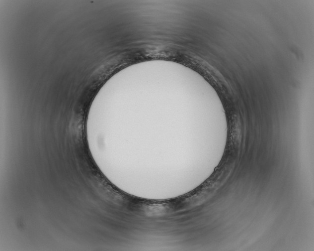 X0000112080513200909011046