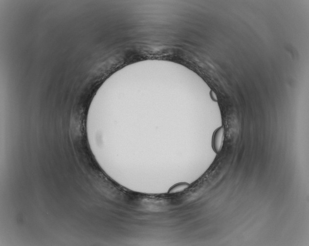 X0000112080515200909011046