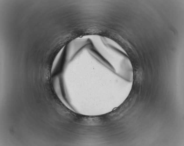 X0000112080517200909011046