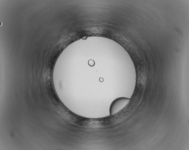 X0000112080518200909011046