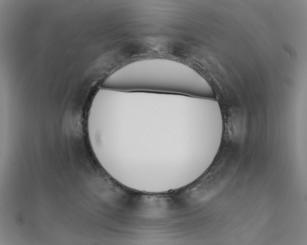 X0000112080520200909011046