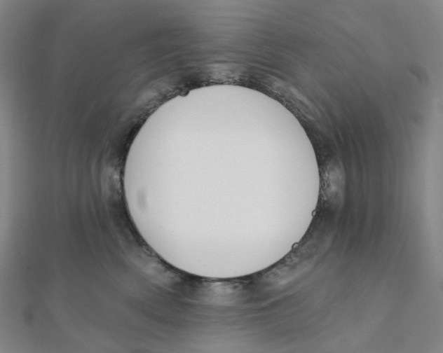 X0000112080522200909011046