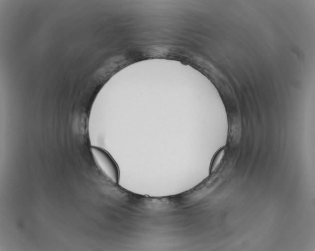 X0000112080525200909011046