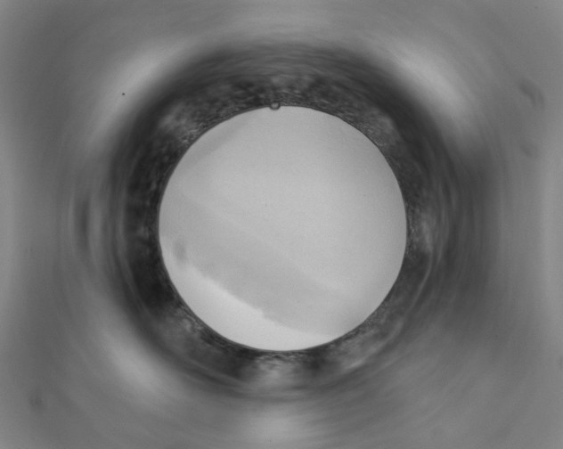 X0000112080526200909011046
