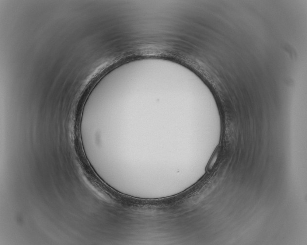 X0000112080530200909011046