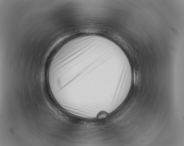 X0000112080531200909011046