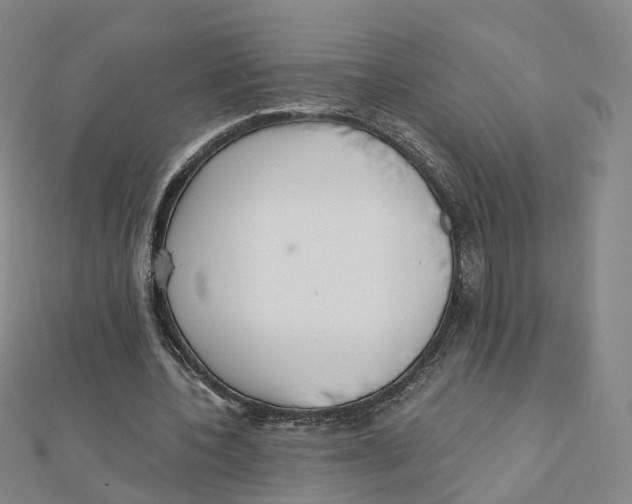 X0000112080532200909011046