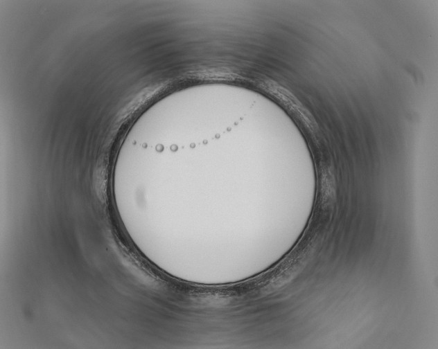 X0000112080533200909011046