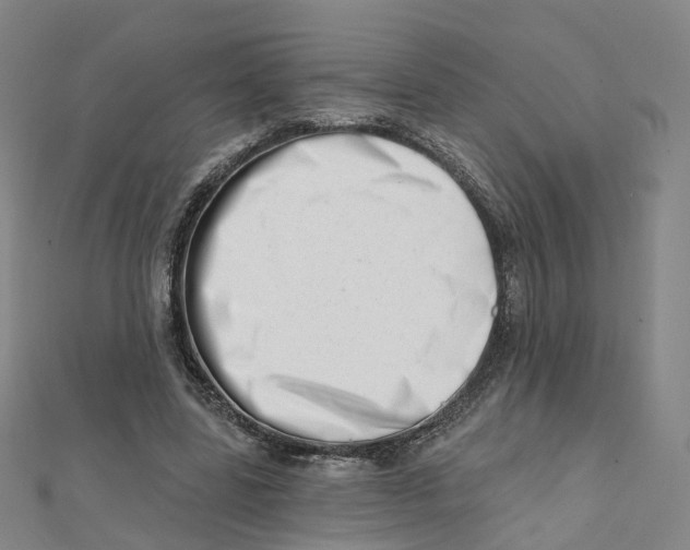 X0000112080539200909011046