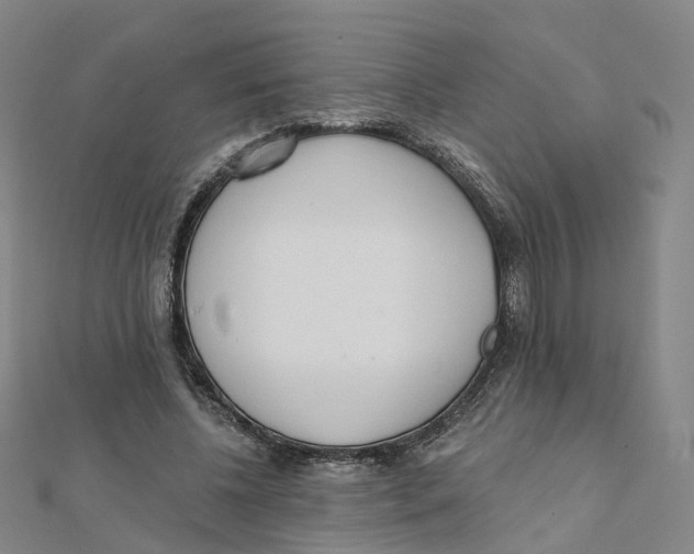 X0000112080540200909011046