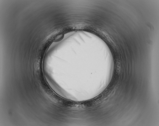 X0000112080543200909011046
