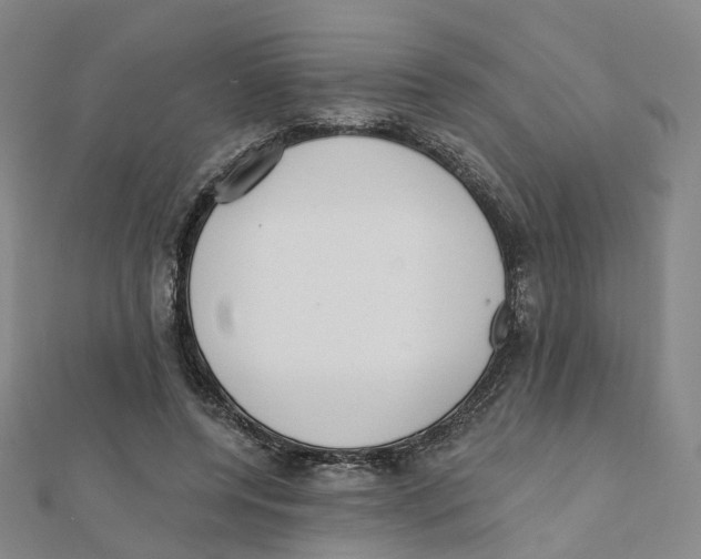 X0000112080544200909011046
