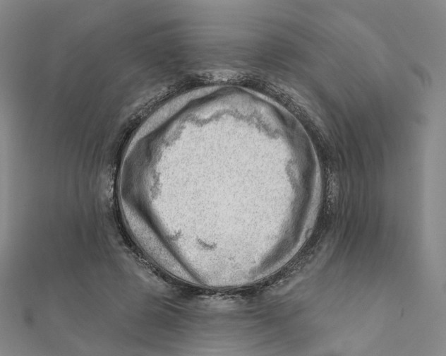 X0000112080545200909011046