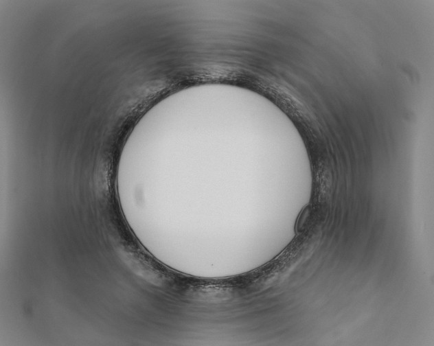 X0000112080546200909011046