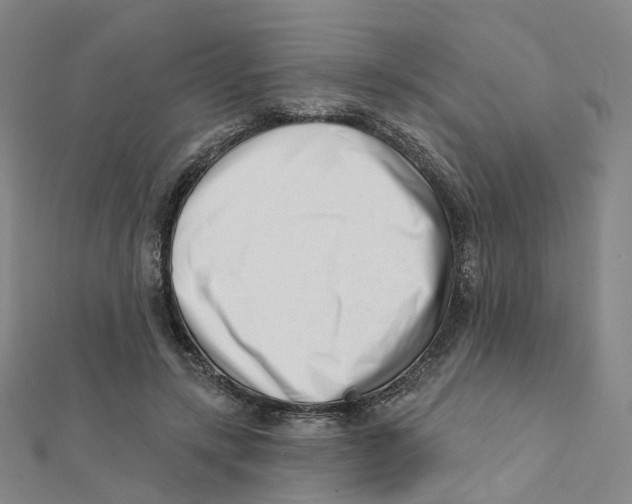 X0000112080547200909011046