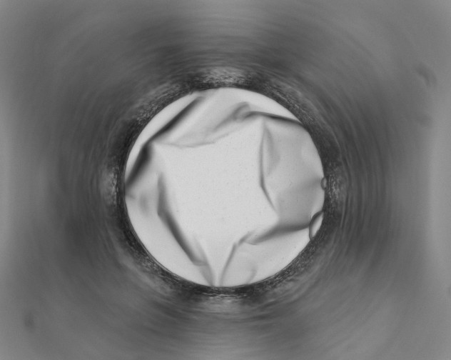 X0000112080551200909011046