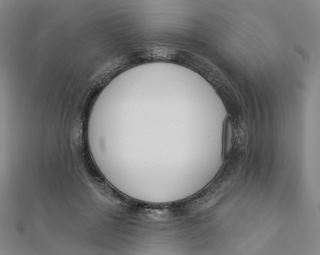 X0000112080552200909011046