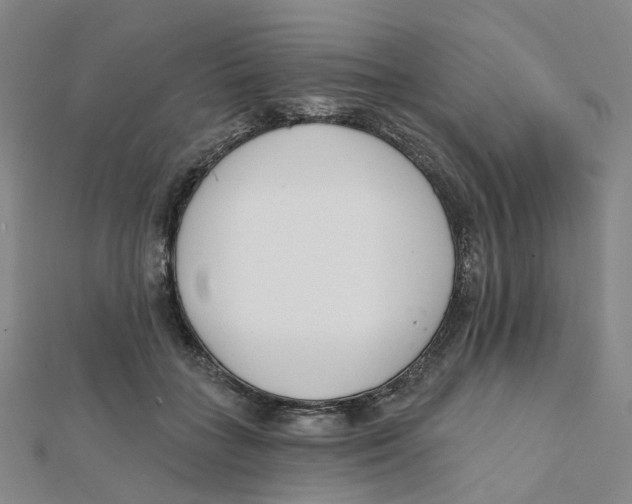 X0000112080555200909011046
