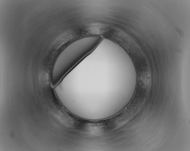 X0000112080556200909011046