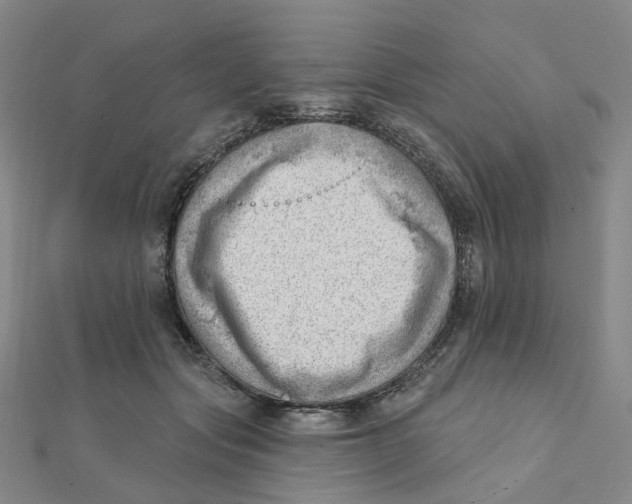 X0000112080557200909011046