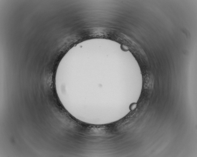 X0000112080560200909011046