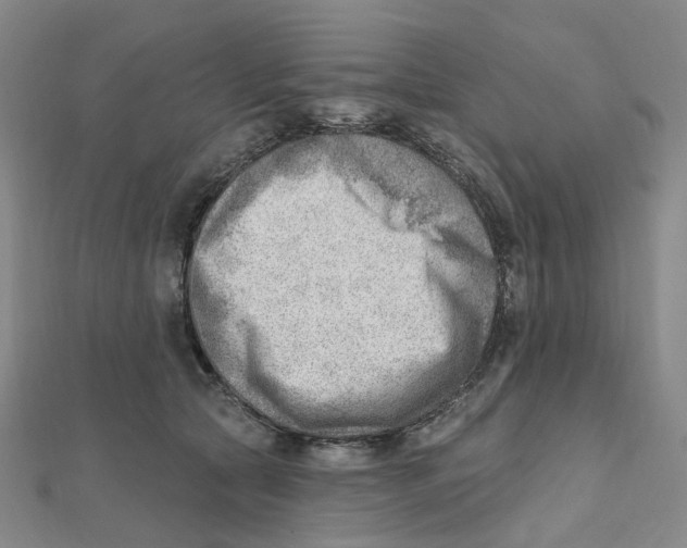 X0000112080561200909011046