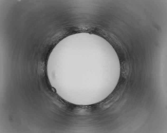X0000112080563200909011046
