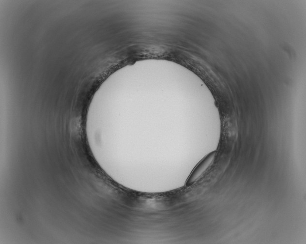 X0000112080564200909011046