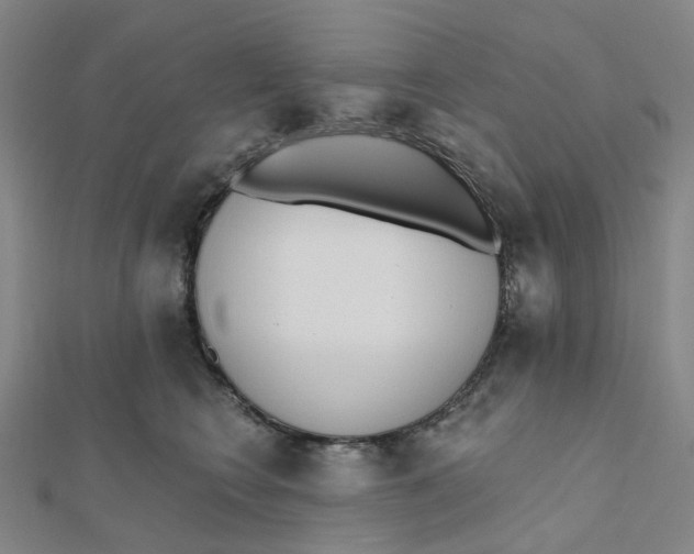 X0000112080566200909011046